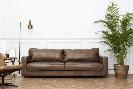 Modern industrial luxury style living room interior with leather couch, golden lamp, and houseplants